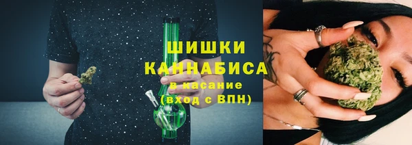 сатива Горнозаводск