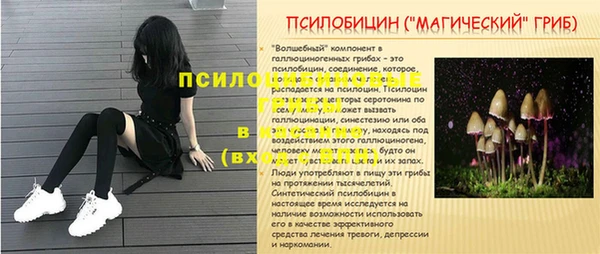 сатива Горнозаводск